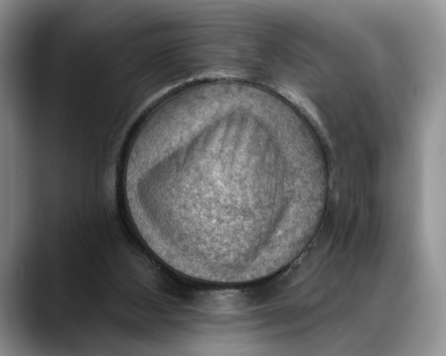 X0000088410108200706121421