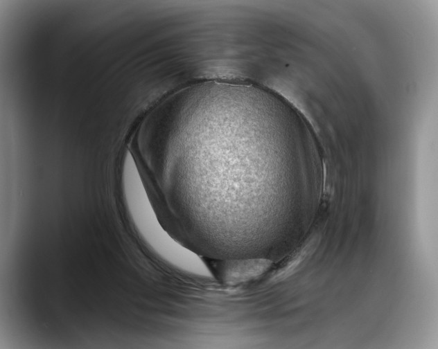 X0000088410109200706121421