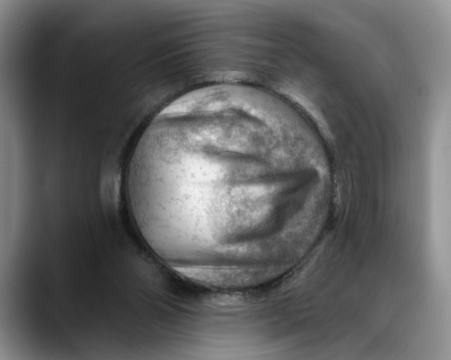 X0000088410110200706121421