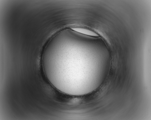 X0000088410111200706121421