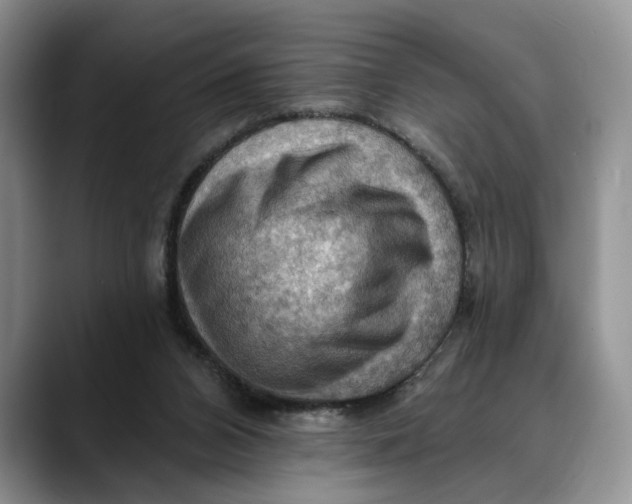 X0000088410112200706121421