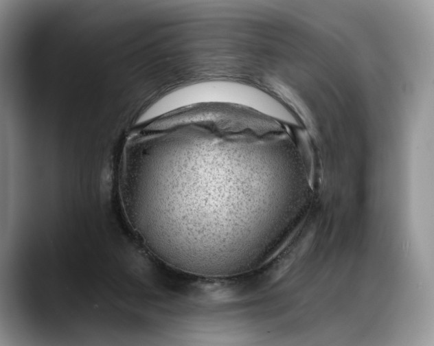 X0000088410113200706121421