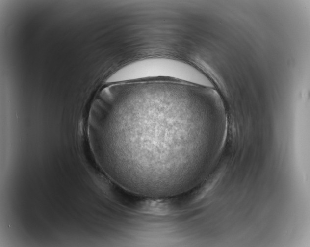 X0000088410117200706121421