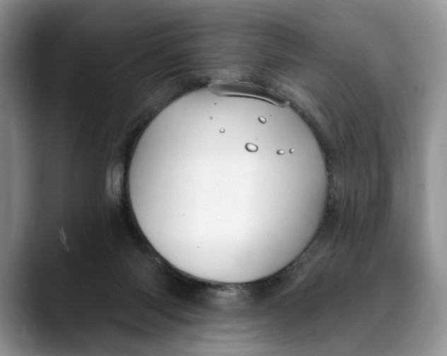 X0000088410118200706121421