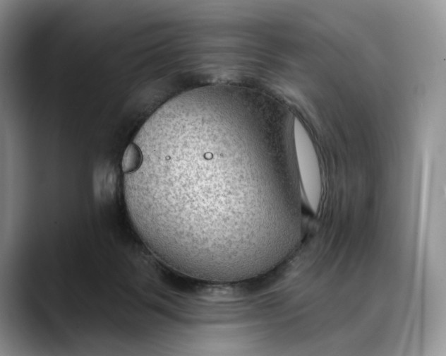 X0000088410123200706121421