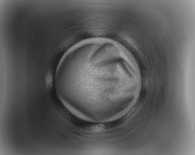 X0000088410124200706121421