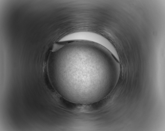 X0000088410125200706121421