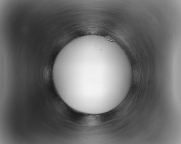 X0000088410126200706121421