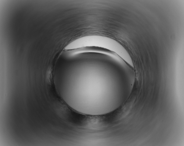 X0000088410127200706121421