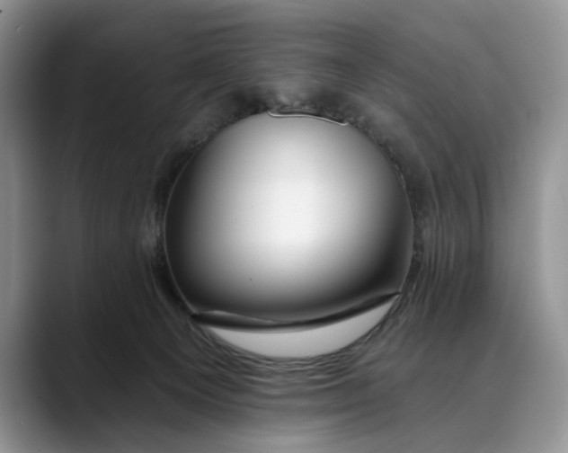 X0000088410129200706121421