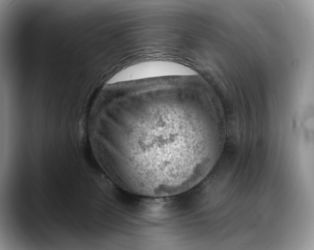 X0000088410131200706121421