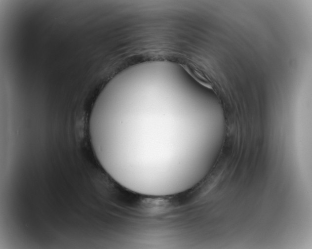 X0000088410133200706121421