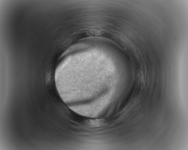 X0000088410134200706121421