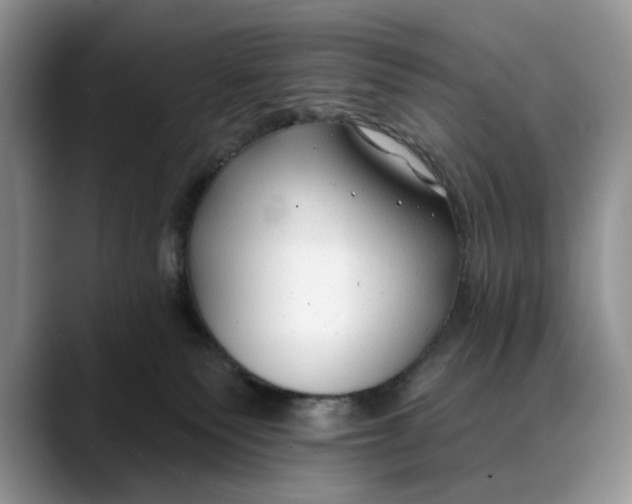 X0000088410135200706121421