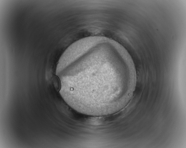 X0000088410136200706121421