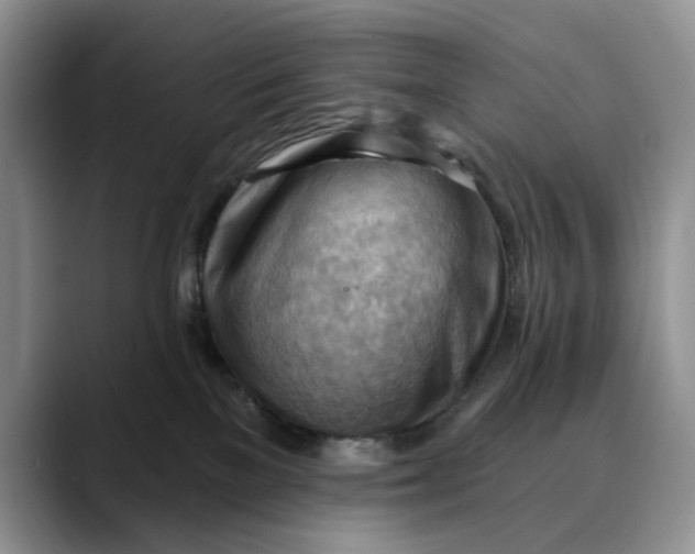 X0000088410137200706121421