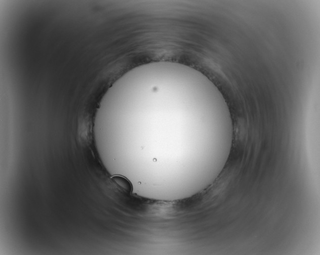 X0000088410138200706121421