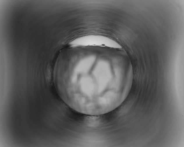 X0000088410139200706121421