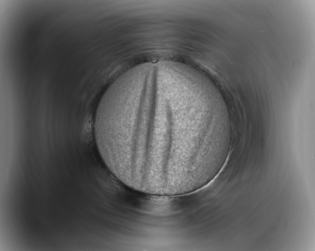 X0000088410144200706121421