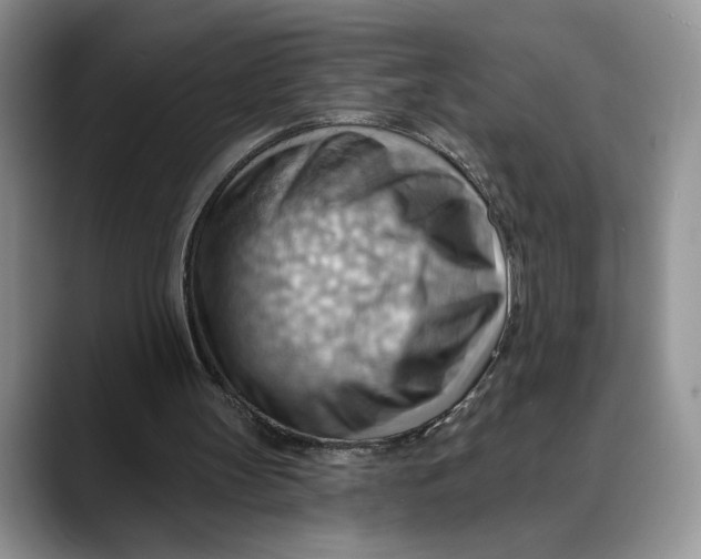 X0000088410147200706121421