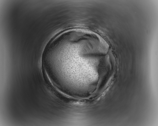 X0000088410148200706121421