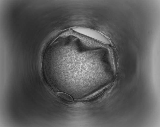 X0000088410149200706121421