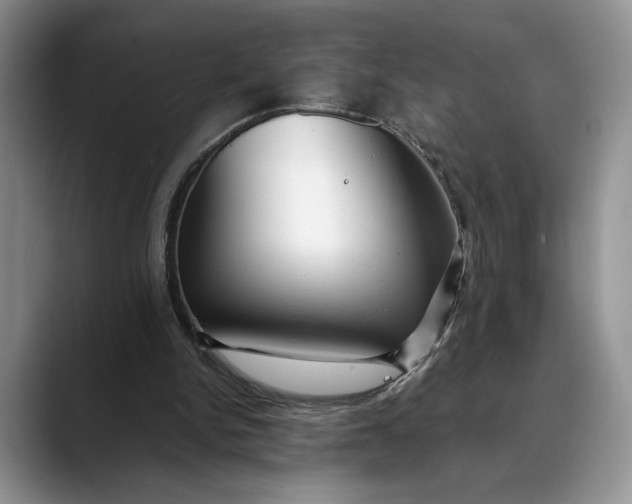 X0000088410150200706121421