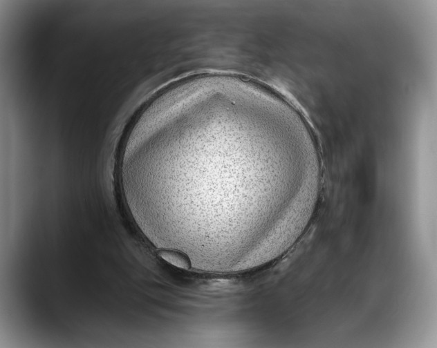 X0000088410151200706121421