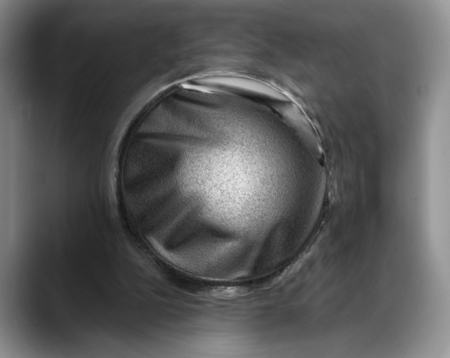 X0000088410152200706121421