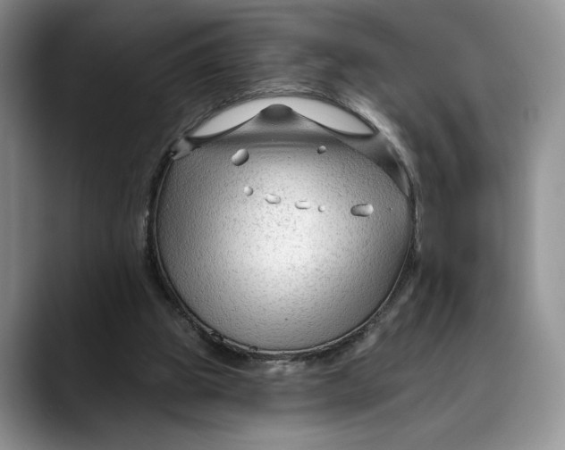 X0000088410153200706121421