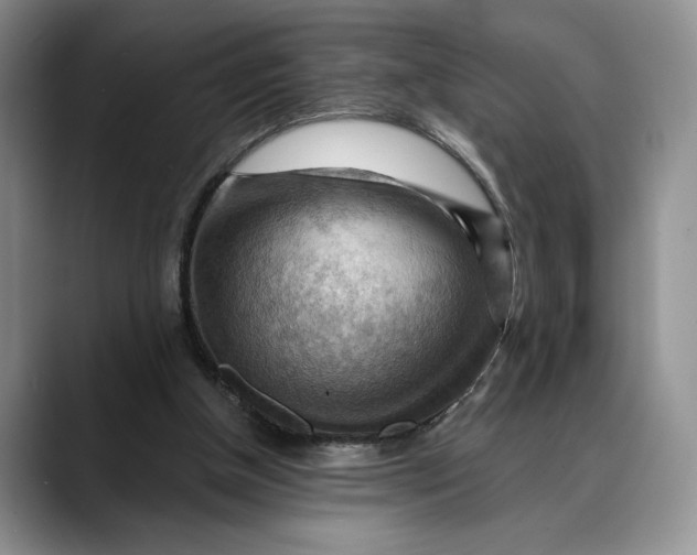 X0000088410154200706121421