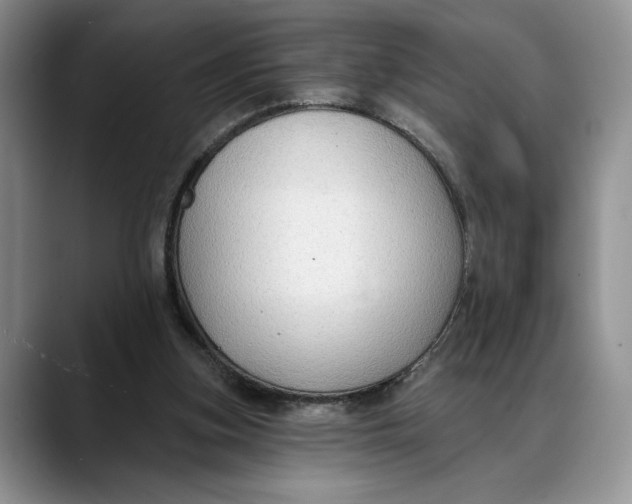 X0000088410155200706121421