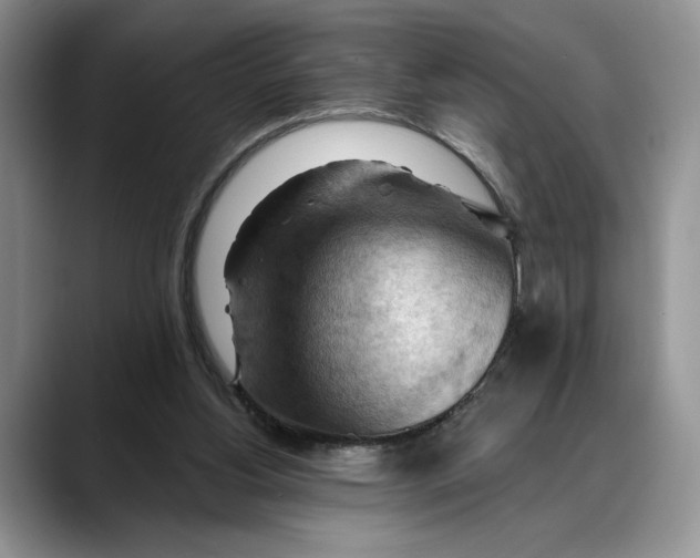 X0000088410156200706121421