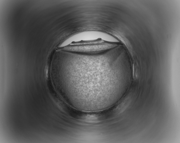 X0000088410157200706121421