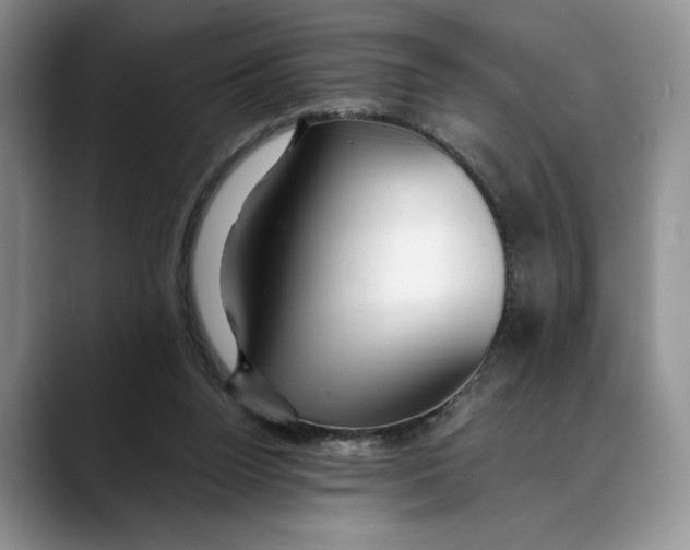 X0000088410160200706121421