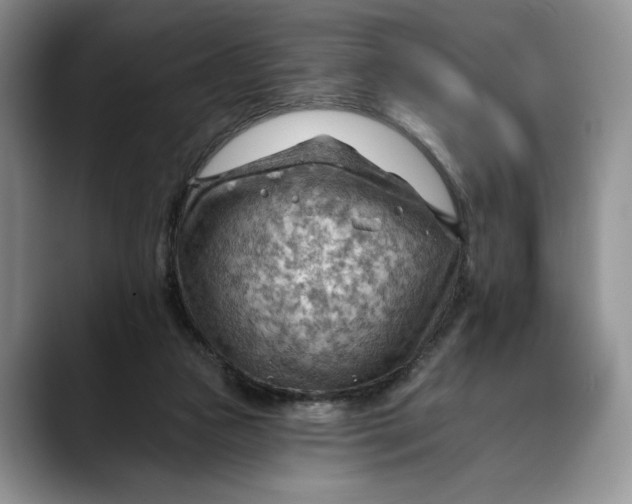 X0000088410161200706121421