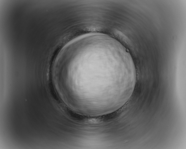 X0000088410163200706121421