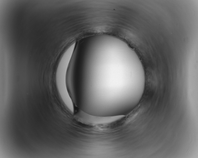 X0000088410164200706121421