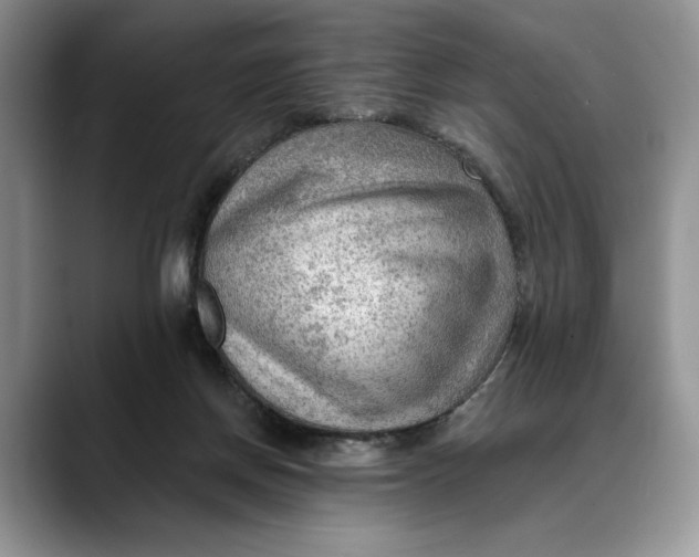 X0000088410166200706121421