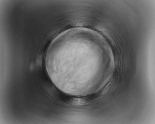 X0000088410167200706121421