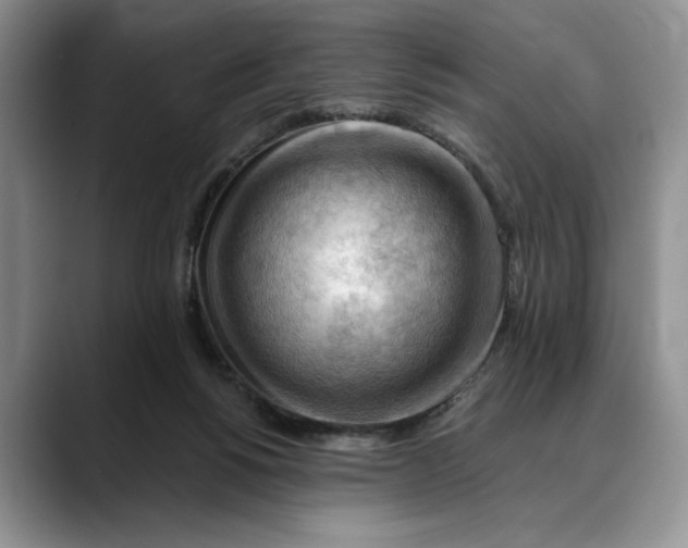 X0000088410168200706121421