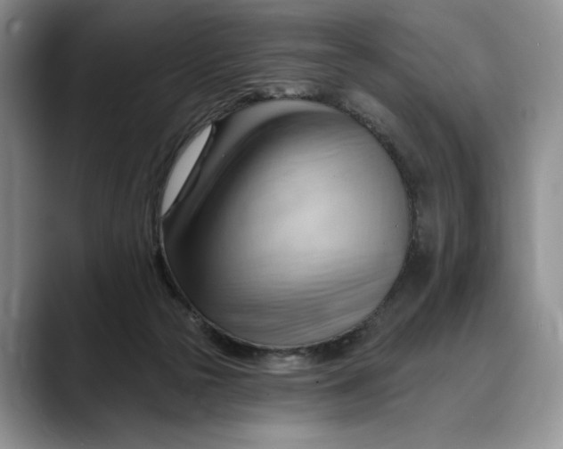 X0000088410169200706121421