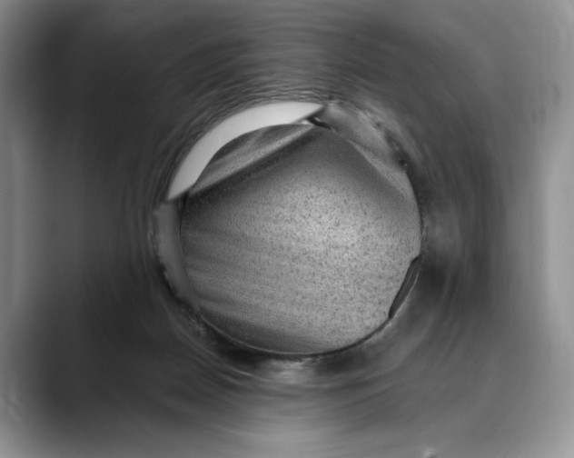 X0000088410170200706121421