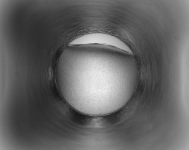 X0000088410173200706121421