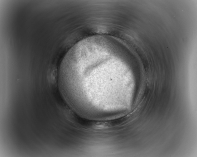 X0000088410175200706121421