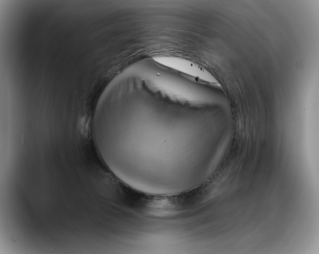 X0000088410177200706121421