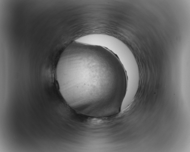 X0000088410180200706121421