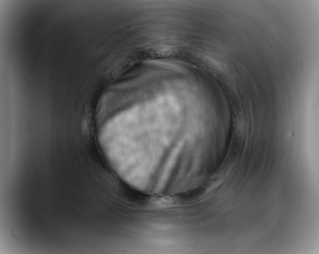 X0000088410181200706121421