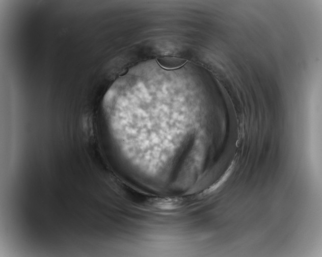 X0000088410182200706121421