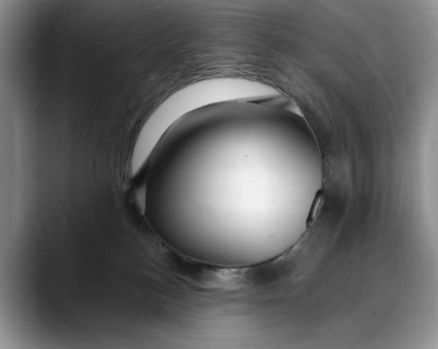 X0000088410184200706121421